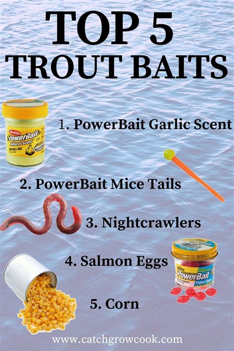 best trout bait for stocked trout.